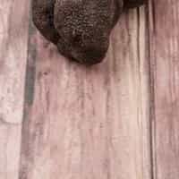 Bury Black Pudding
