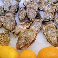 Locally-sourced Oysters