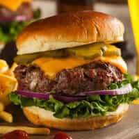 Bison Burger