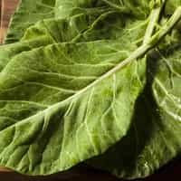 Collard Greens